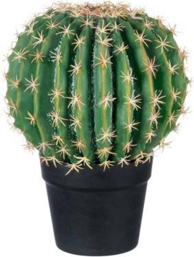 J-Line J Line kunstplant cactus 33 x 25 x 25