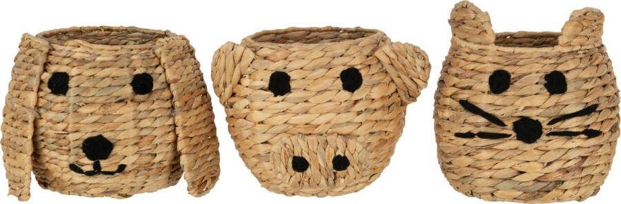 J-Line Mand Kat Hond Varken Waterhyacinth Naturel Assortiment Van 3