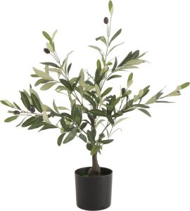 J-Line Olijfboom | kunststof | groen | 30.5x30.5x(h)67 cm