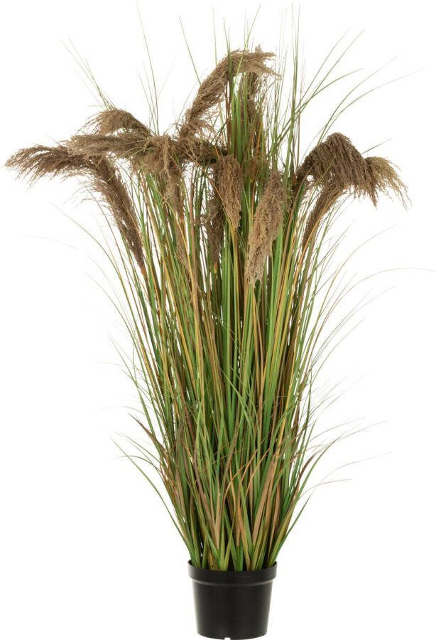 J-Line Pampas Gras 13 Koppen In Pot Pvc Groen|Beige Large