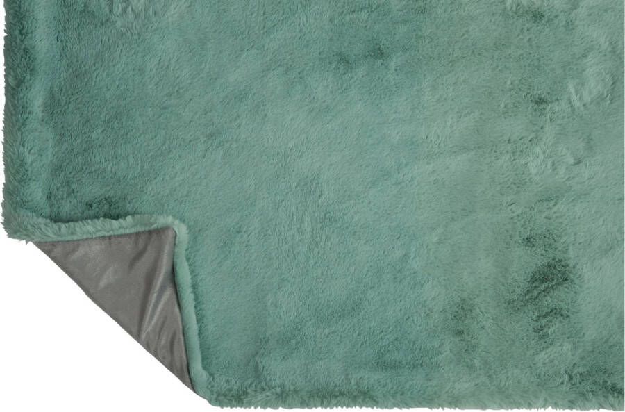 J-Line Plaid Cutie Fleece Deken – Polyester – 180x130 cm – Munt