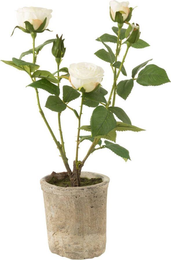 J-Line Roos 5 Koppen In Pot Plastiek|Textiel Wit|Groen