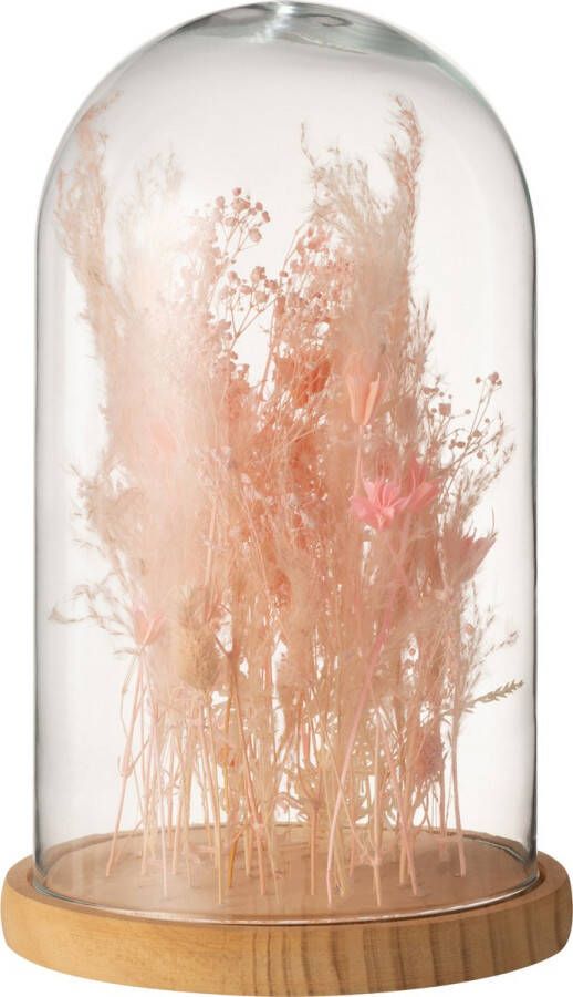 J-Line Stolp Droogbloemen Licht Roze Glas Hout Large