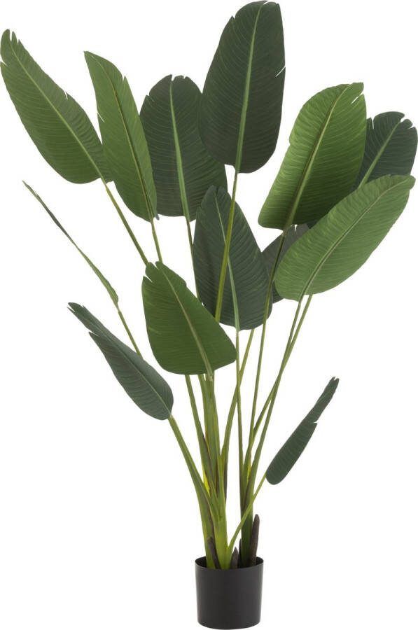 J-Line Strelitzia Plastiek Groen Medium
