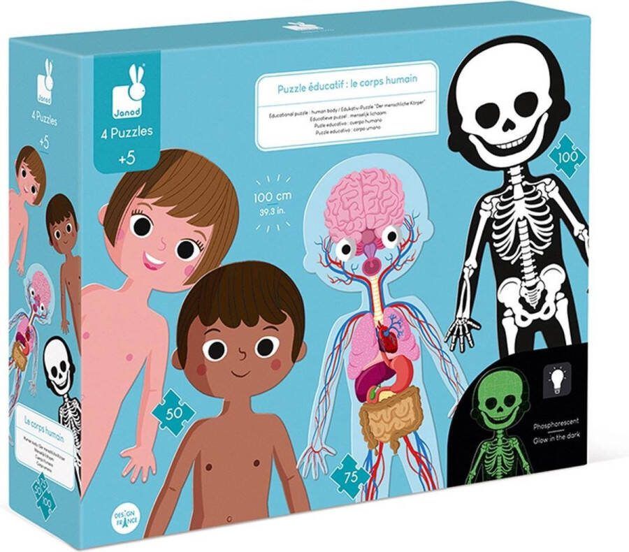 Janod Educatieve Puzzel Het Menselijk Lichaam 4 Puzzels Van 50 Tot 100 Stukjes Inclusief 1 Glow In The Dark Puzzel Leer Alles Over Het Menselijk Lichaam Met Deze Educatieve Puzzels Geschikt Vanaf 5 Jaar