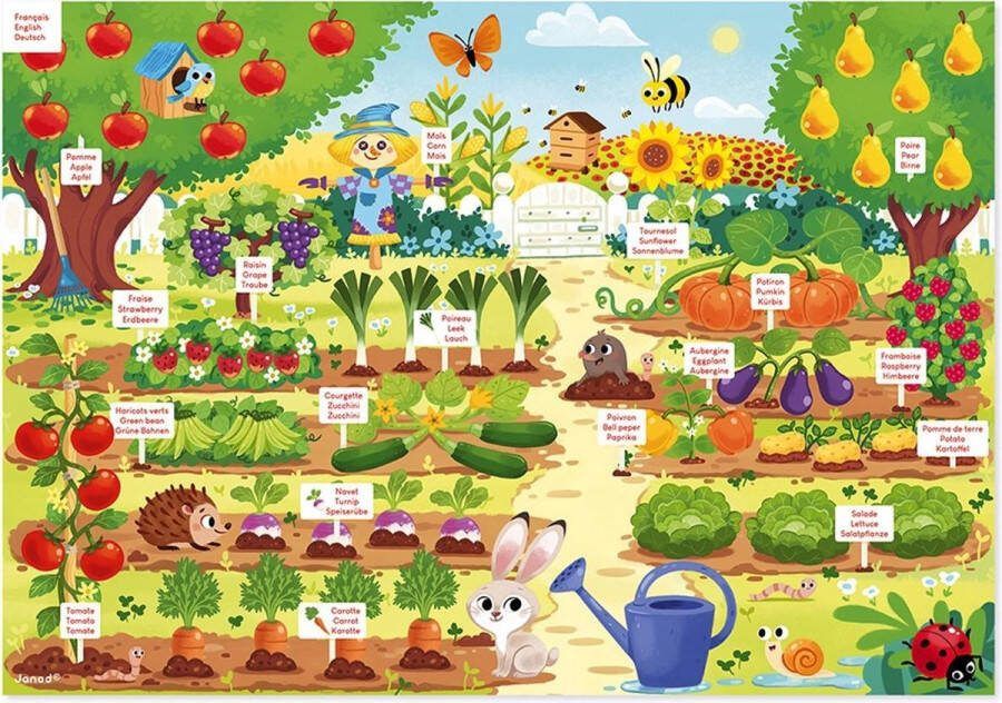 Janod Magneetbord Moestuin Inclusief 70 Magneten Een Leuke En Leerzame Manier Om De Namen Van Groenten En Fruit Te Leren Geschikt Vanaf 3 Jaar