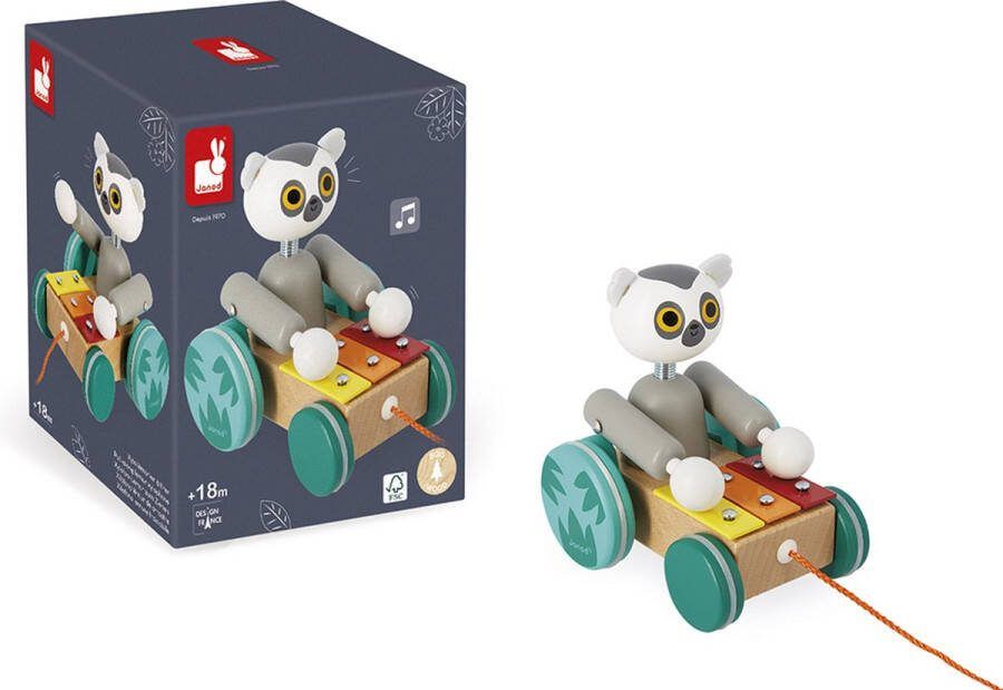 Janod Tropik Trekfiguur Xylo-Maki Zijn Armen Bewegen Als Hij Rolt Dus Speelt De Maki Xylofoon Als Hij Gaat Wandelen! Geschikt Vanaf 18 Maanden