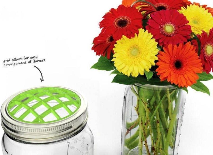 Jarware Jar Ware Bloemvaas organiser Voor Mason Jars met brede opening Groen