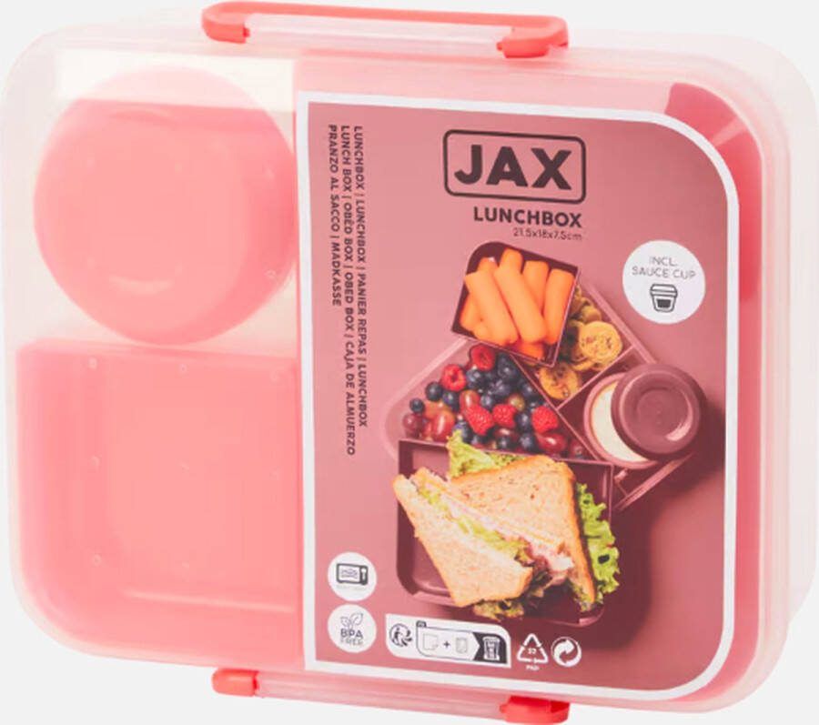 JAX Lunchbox to go warm koud