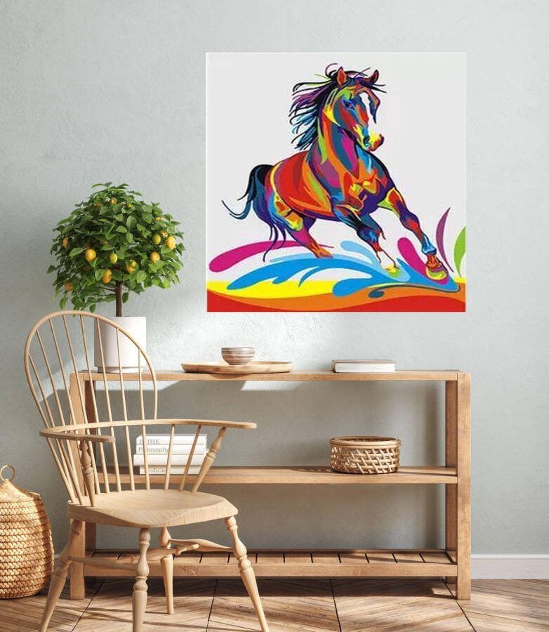 JDBOS Handig en mooi JDBOS Schilderen op nummer Volwassenen met frame (hout) Gekleurd paard Colorful horse Verven volwassenen 40x50 cm