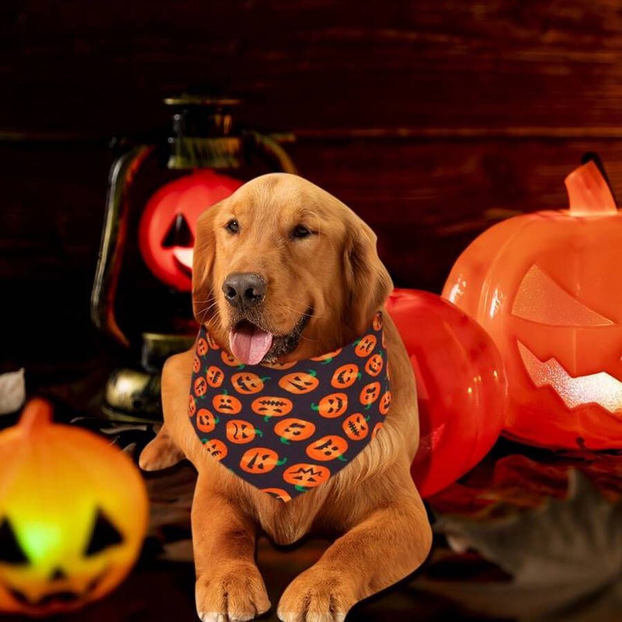 JedResellers JED Halloween Huisdieren bandana One size Honden & katten Halloween decoratie