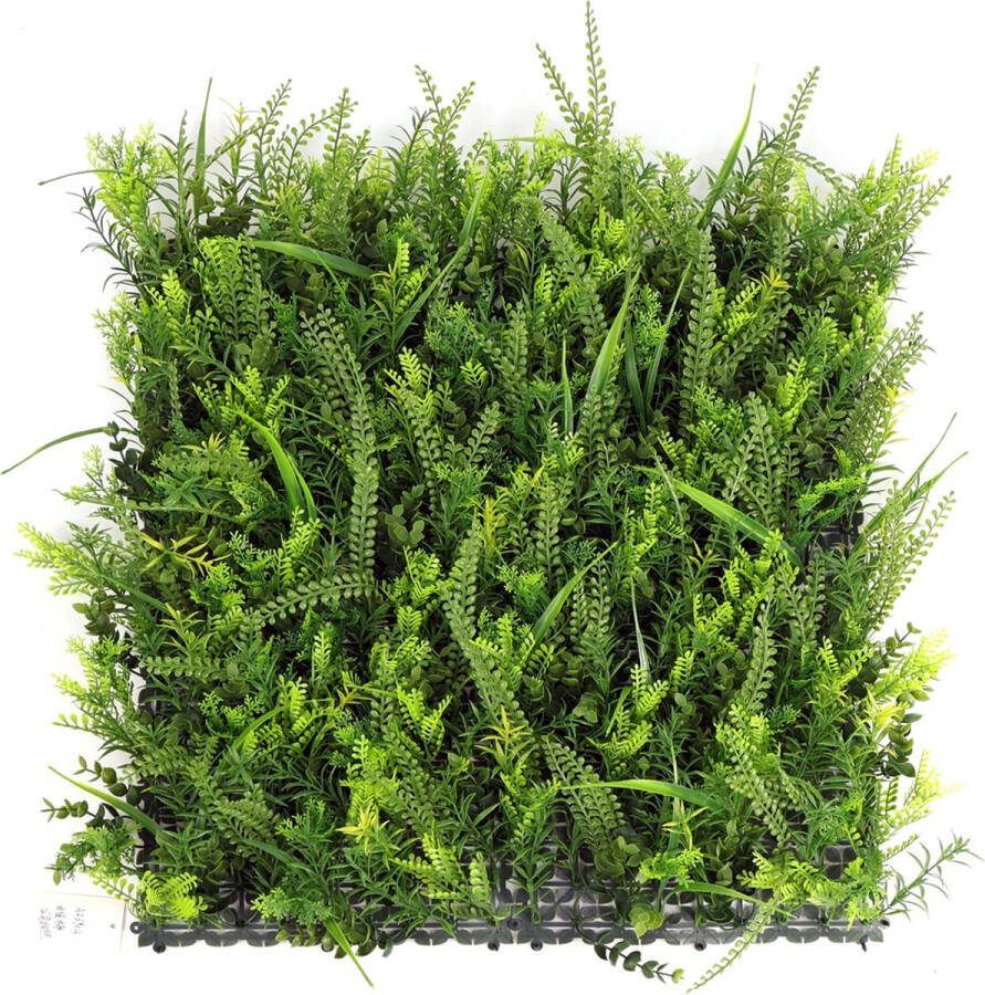 Jivana Curaçao FOLY 50 x 50 cm Green wall voor decoratief binnen en buiten gebruik Tropische kunsthaag 5j UV garantie