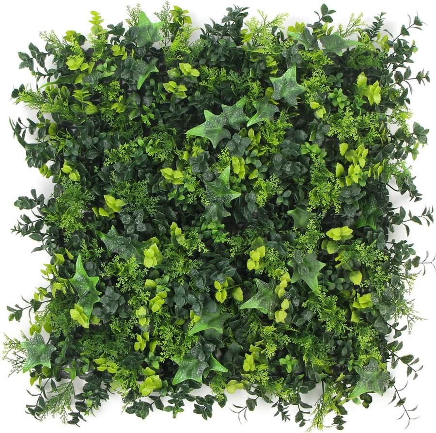 Jivana Barbuda FOLY 50 x 50 cm Green wall voor decoratief binnen en buiten gebruik Tropische kunsthaag met klimop 5j UV garantie