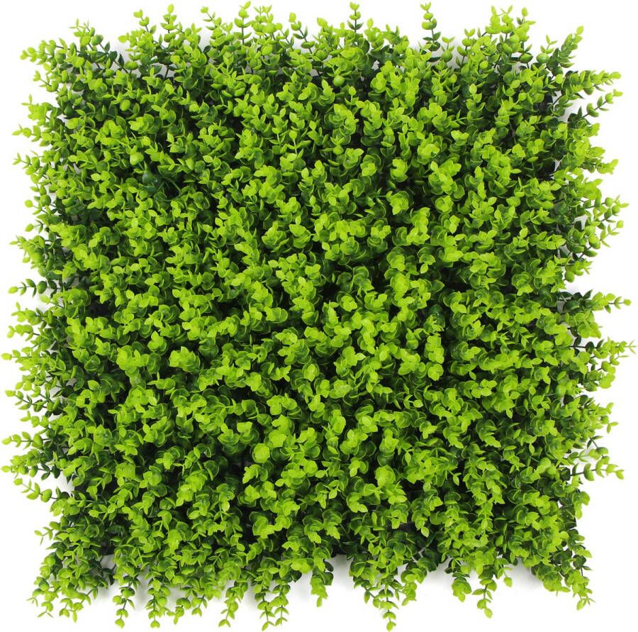 Jivana Spring Buxus FOLY 50 x 50 cm Green wall voor decoratief binnen en buiten gebruik Buxus kunsthaag 5j UV garantie