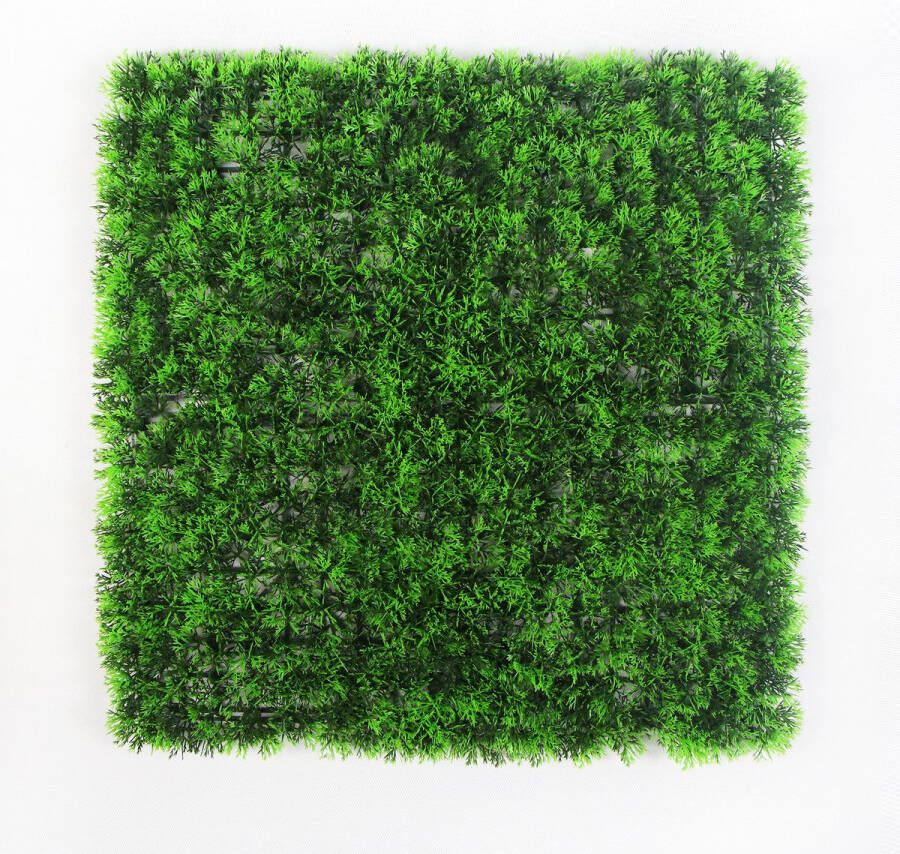Jivana Vivid Green FOLY 50 x 50 cm Green wall voor decoratief binnen en buiten gebruik Kunsthaag 5j UV garantie