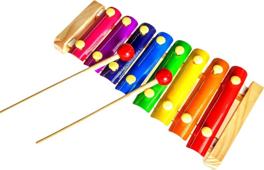 Jobber Music Muziekinstrumenten voor kinderen Xylofoon – Houten speelgoed instrument Muziek maken