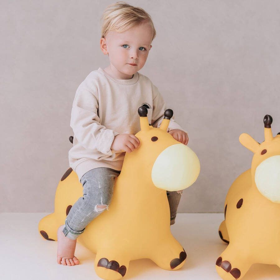Jobber Toys Jobber Skippybal 70 cm Skippy dieren Skippyballen incl. pomp