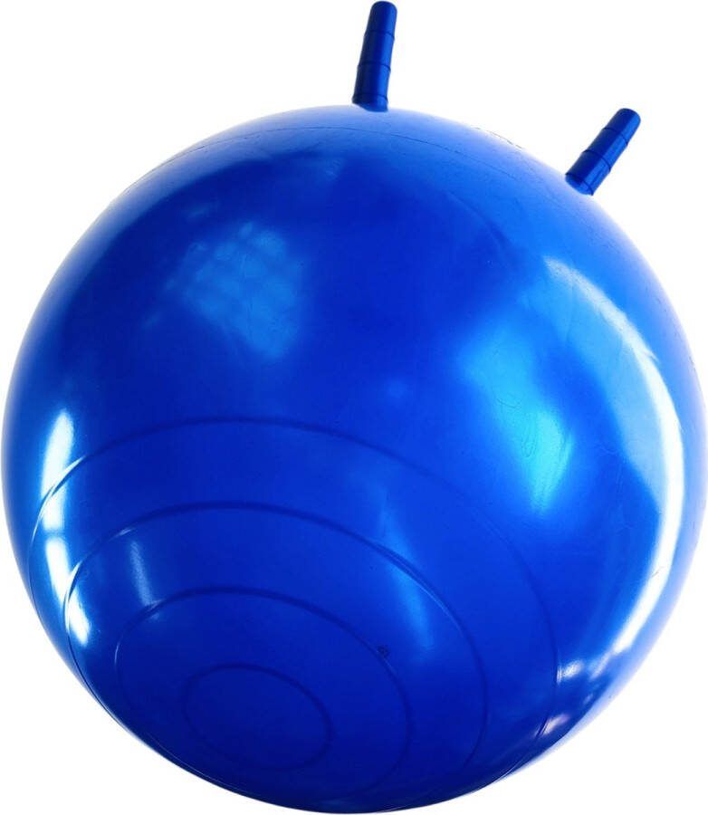 Jobber Toys Jobber Skippybal Springbal Skippyballen Blauw 45 cm