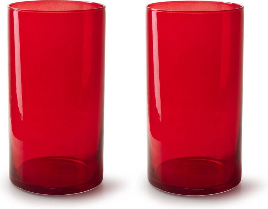 Merkloos 2x Stuks Bloemenvazen cilinder model glas rood transparant H30 x D15 cm Vazen