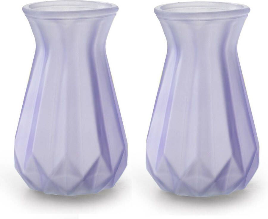 Jodeco Bloemenvazen 2x stuks Stijlvol model lila paars transparant glas H15 x D10 cm