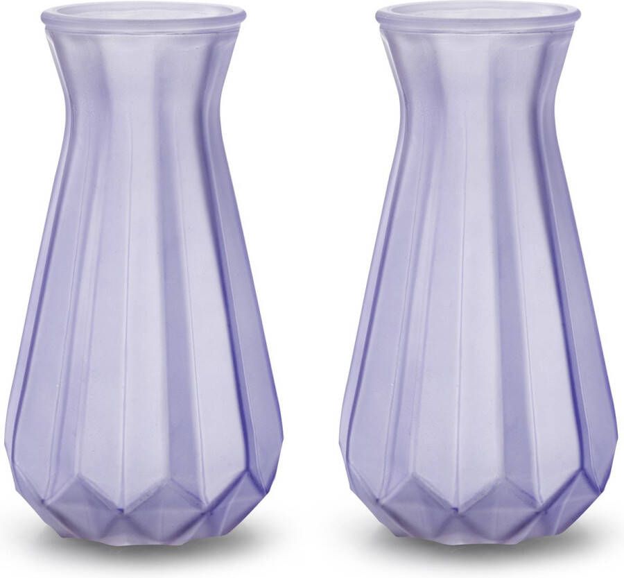 Jodeco Bloemenvazen 2x stuks Stijlvol model lila paars transparant glas H18 x D11.5 cm