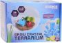 Coppens Science expolorer maak je eigen crystal terrarium - Thumbnail 1