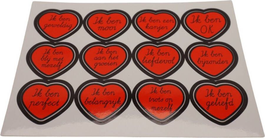 Joyinmyheart Joy in my Heart Stickervel met 12 verschillende affirmatie stickers Type 1 30 mm