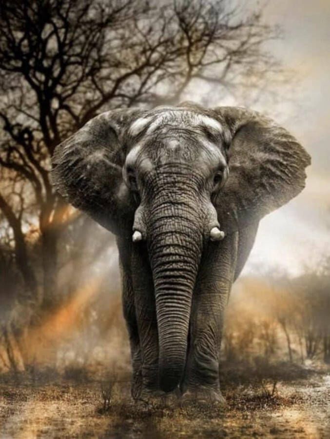 Jumada 's DIAMOND PAINTING: 40 * 50 cm (40x50cm) ~ Knutselen Diamantjes Creatief ~ Olifant Vierkante Steentjes ~ Steentjes ~