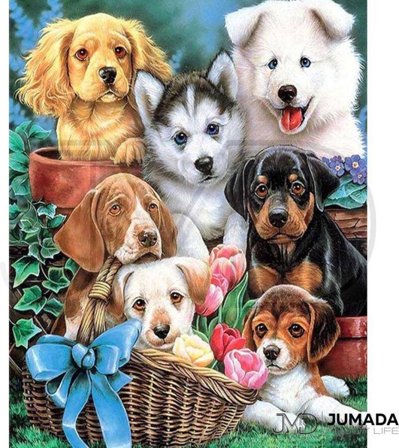 Jumada 's Diamond Painting Kinderen en Volwassenen Kunstwerk Met Accessoires Schattige Puppy's 30 x 40 cm