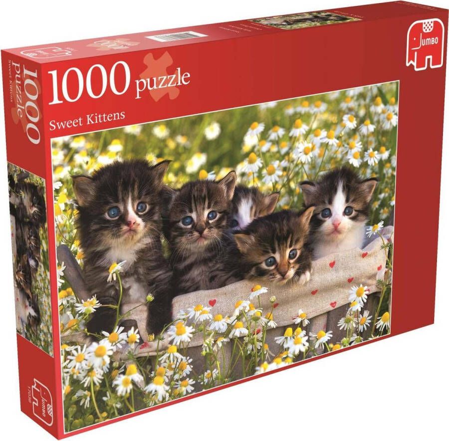 Jumbo Puzzel Sweet Kittens Legpuzzel 1000 stukjes