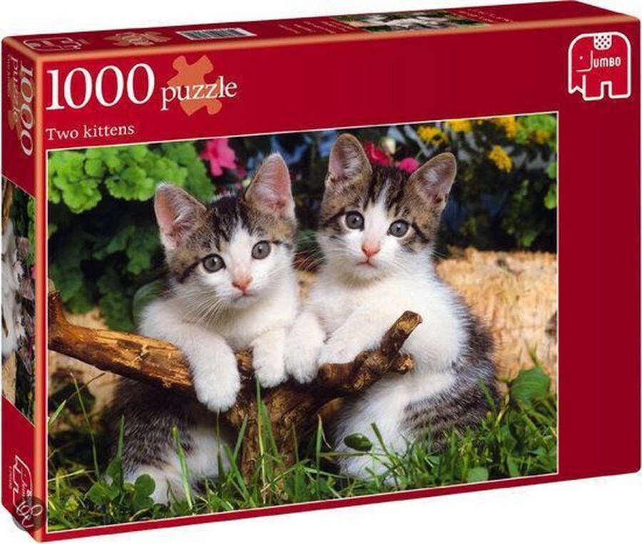 Jumbo Puzzel Two Kittens Legpuzzel 1000 stukjes