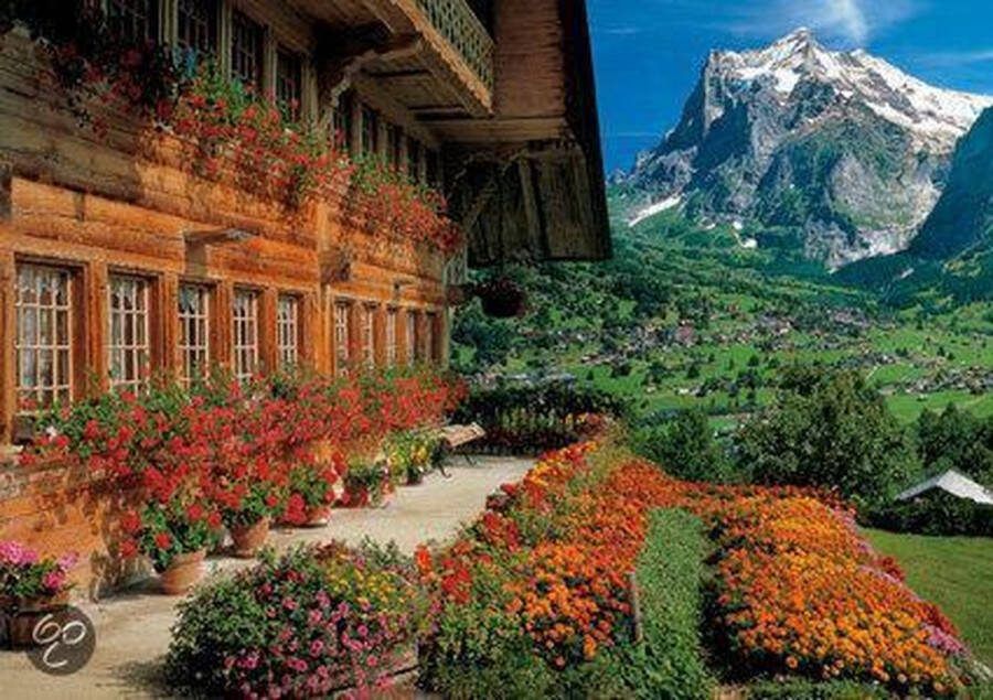 Jumbo Zwitsers Chalet Wetterhorn