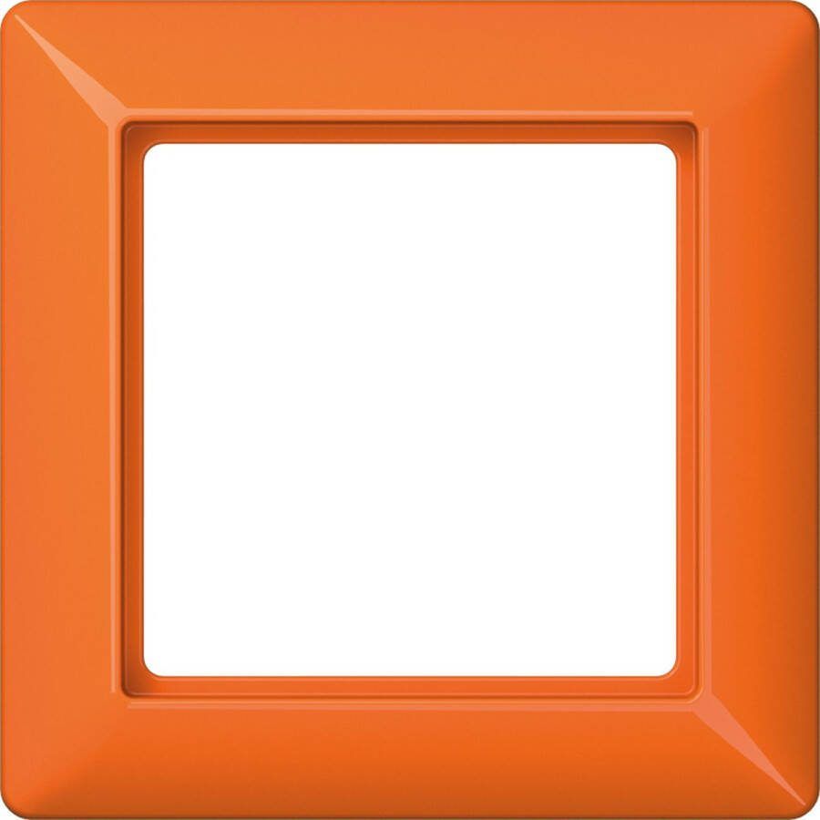 Jung AS581BFO AFDEKRAAM 1-V SLAGVAST OR
