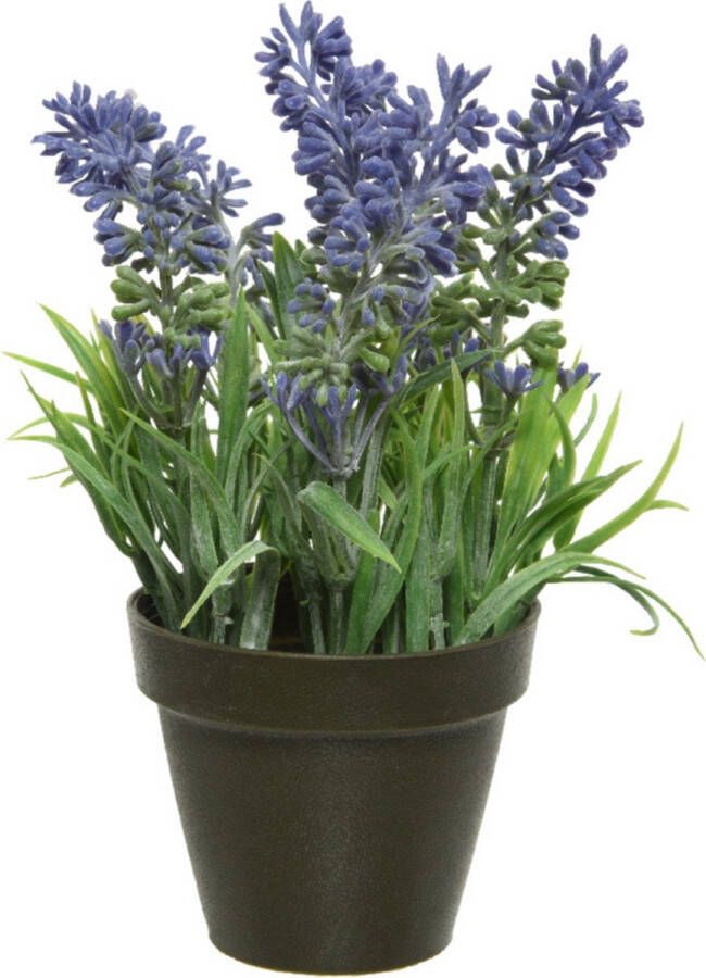 Kaemingk Kunstplant lavendel paars 17 cm in zwarte pot lavandula