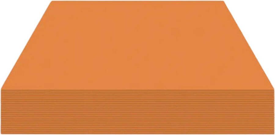 Kangaro fotokarton 50x70cm 300 gram lichtbruin pak 25 vel K-0045-575