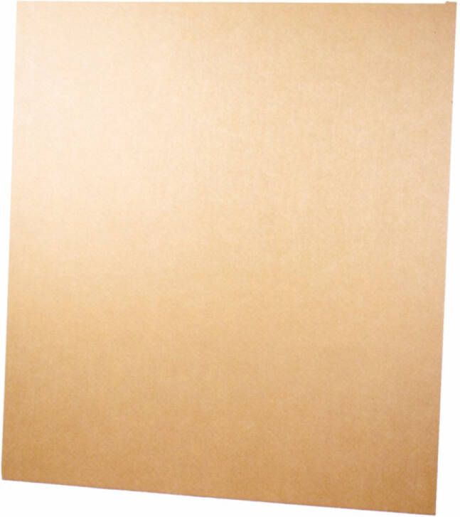 KarTent Kartonnen plaat 100x50x1 cm 100x50 cm Knutselkarton Hobbykarton