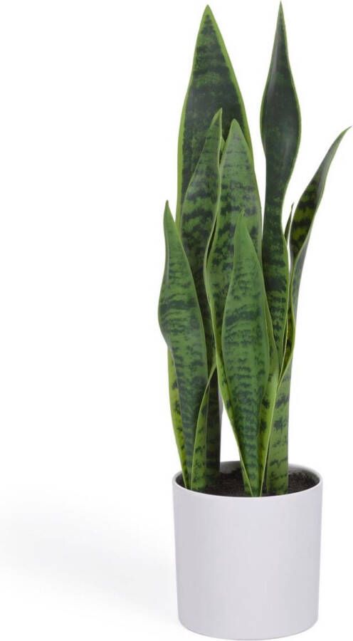 Kave Home Kunstmatige Sansevieria met witte plantenpot 55 cm