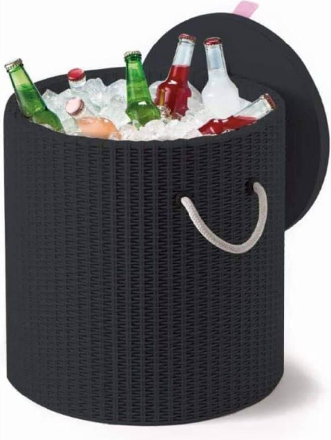 Keter Cool Stool antraciet