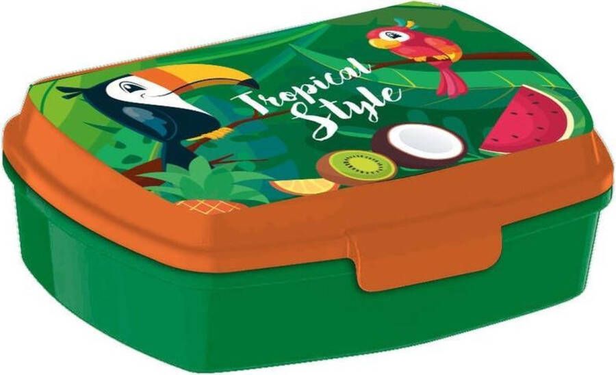 Kids licensing Tropical Style Toucan lunch box
