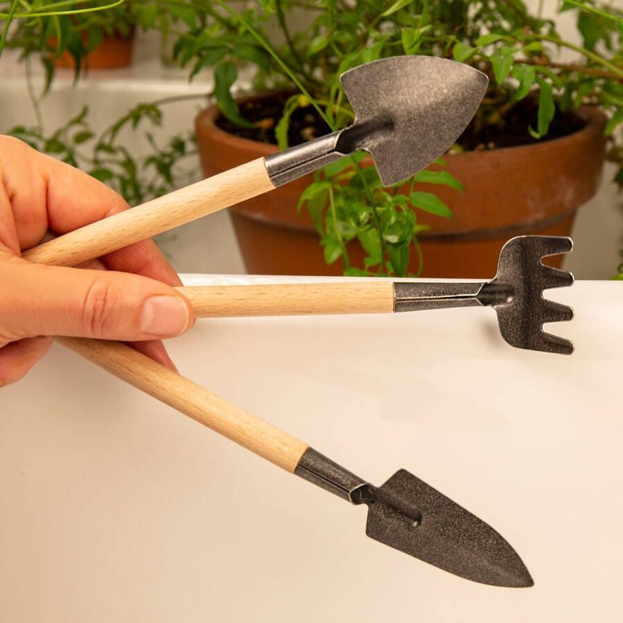 Kikkerland Mini Garden Tool Set