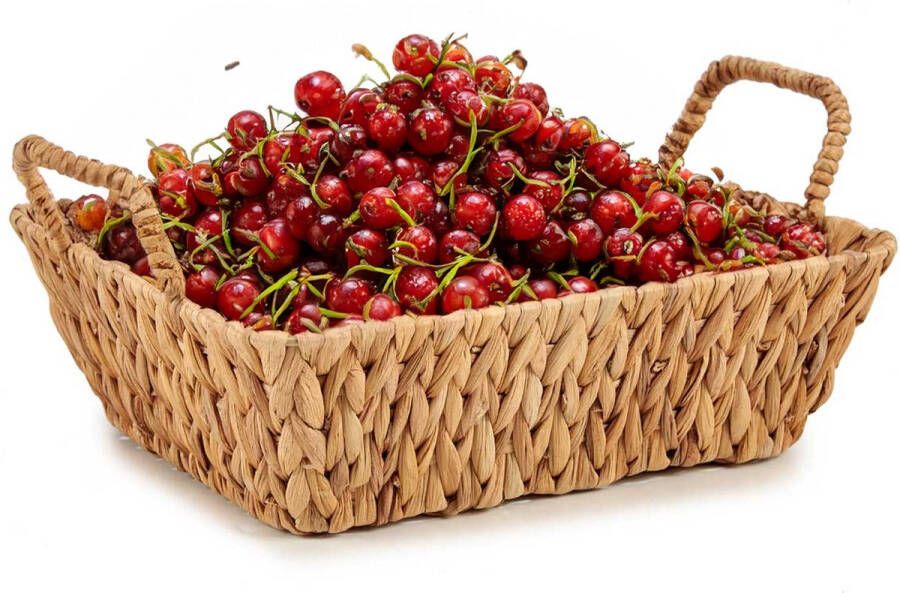 Kinvara Fruitschaal fruitmand Rattan gevlochten riet 40 x 28 x 9 cm naturel Fruitschalen