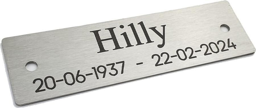 Kirinify RVS Naambordje voordeur 12 x 3.5 cm RVS naamplaatje brievenbus – Permanente lasergravering – Schroefbevestiging