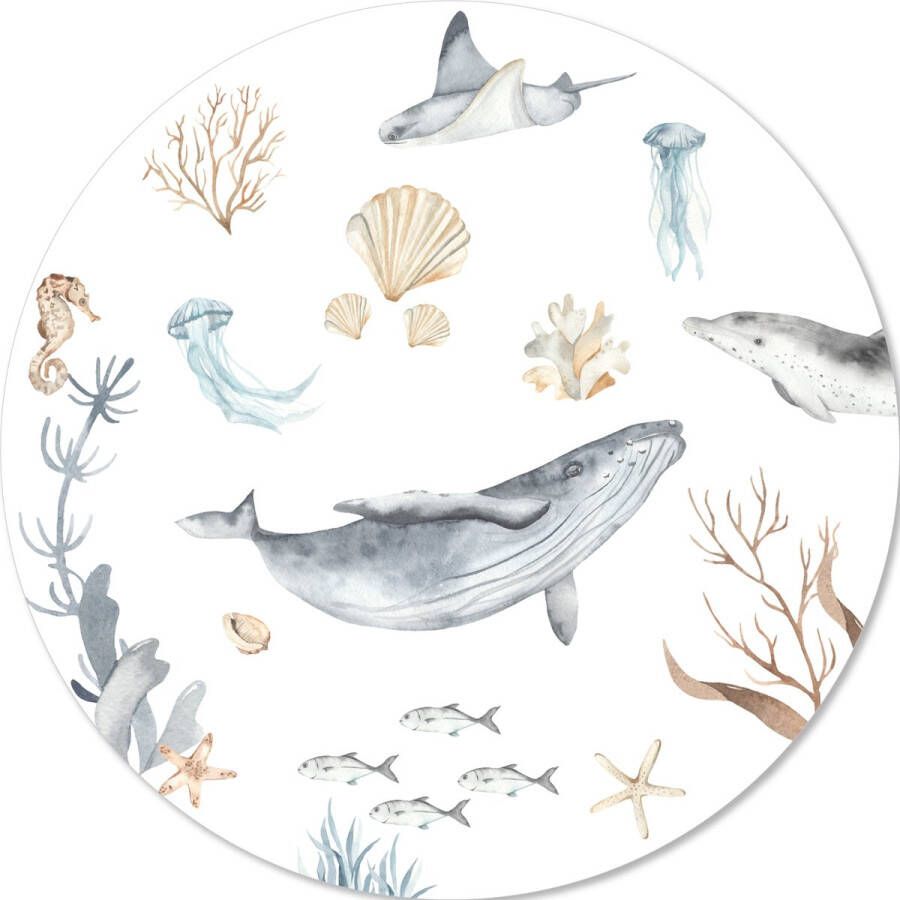 Kleine Binky Muurcirkel zeedieren walvis- muurstickers babykamer kinderkamer jongens behangcirkel 100cm sticker