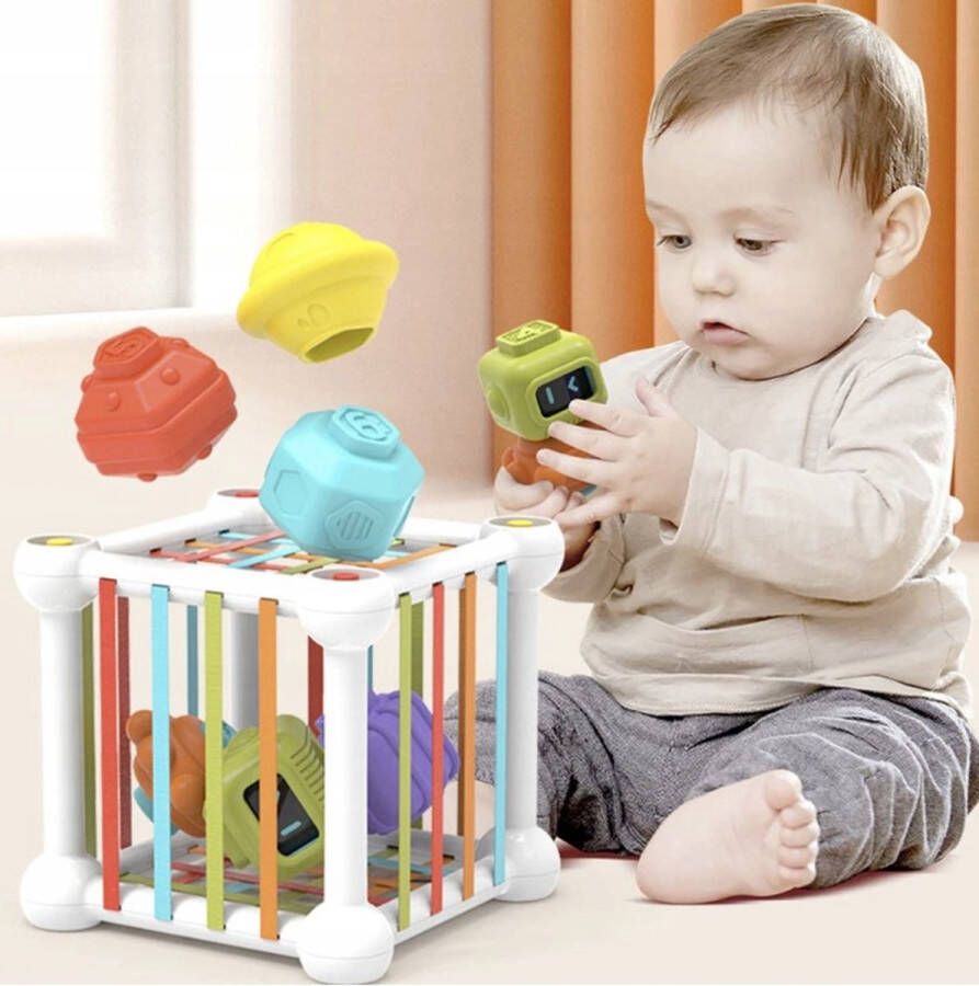 KLUZOO Sensorisch Speelgoed Motoriek Speelgoed -Sorteer Spel Rammelaar Sensorisch Speelgoed Baby vanaf 12 maanden
