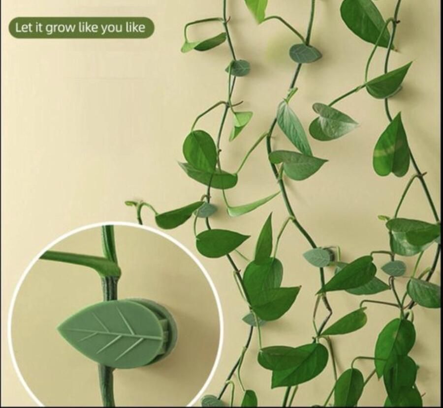 Knaak Plant Clips Plant Ondersteuning Vorm Van Blad Klimplant Begeleider 10 Stuks