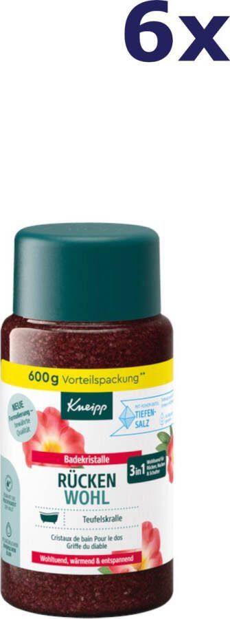Kneipp 6x badzout 600g Rückenwohl