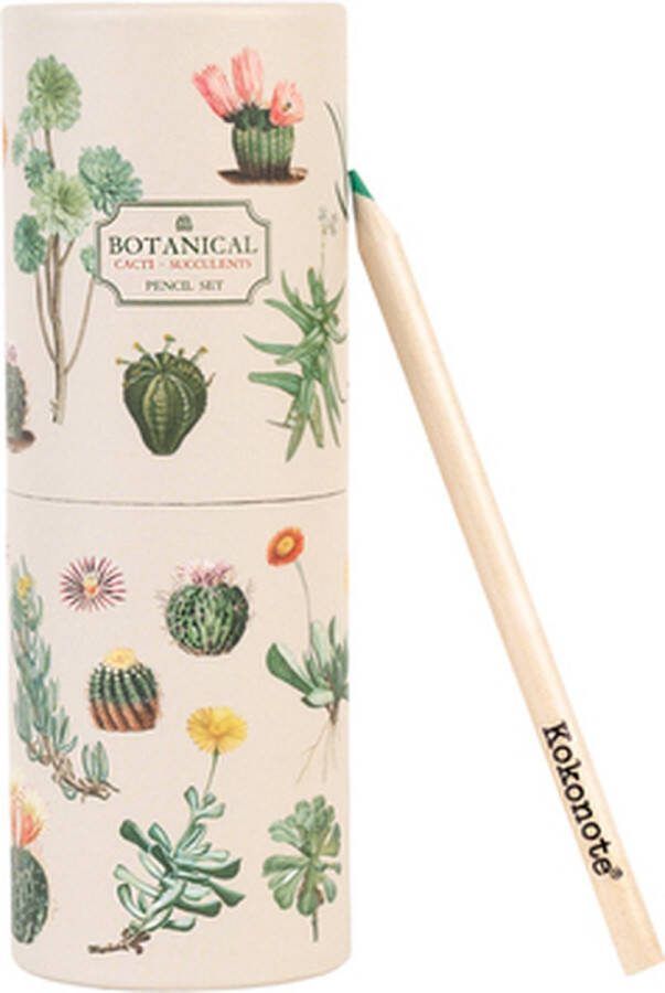 Kokonote Cacti Pencil Case met 18 kleurpotloden
