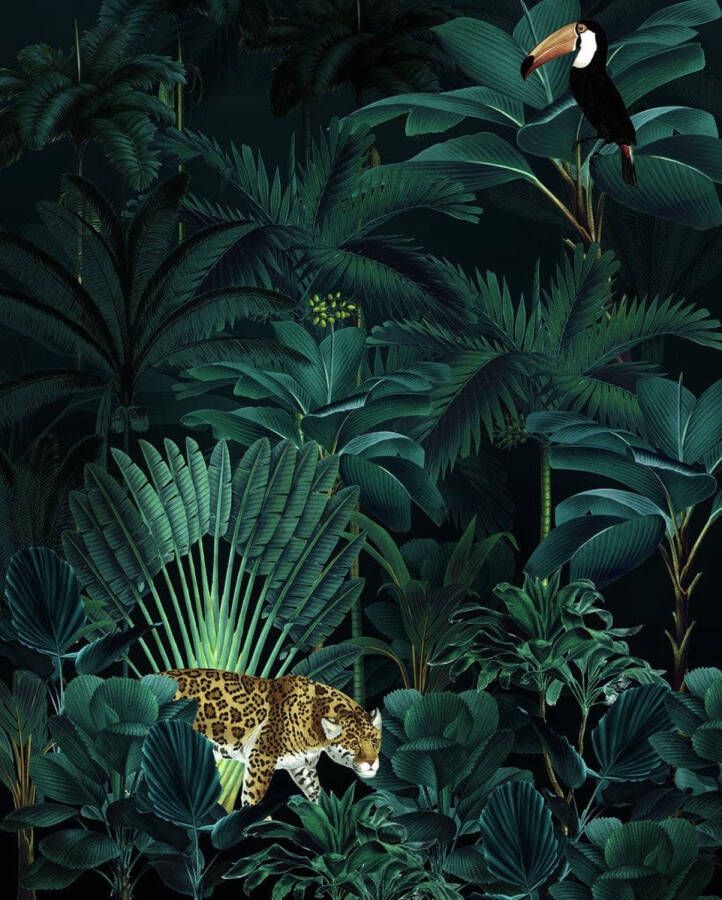 Komar Vliesbehang Jungle Night 200 x 250 cm (breedte x hoogte)