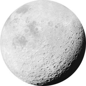Komar Luna Vlies Zelfklevend Fotobehang 125x125cm rond