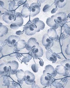 Komar Fotobehang Orchidée gedessineerd botanisch in bloemmotief vlies wand plafond schuin (set 1 stuk)